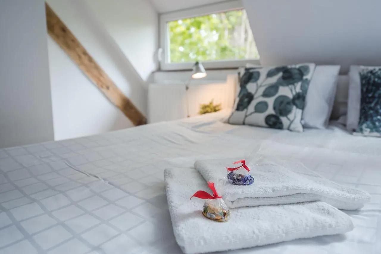 Fitness Hostel Premium location
